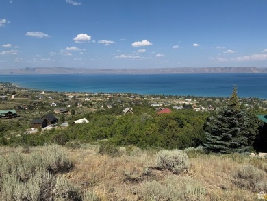 Lake Lot For Sale in Fish Haven, Idaho