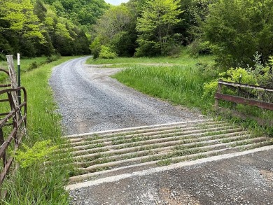 (private lake, pond, creek) Acreage For Sale in Castlewood Virginia