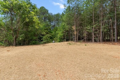 New Construction ranch home on large lot with bonus room above - photo 8