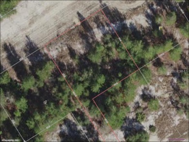 Lake Marion - Polk County Lot For Sale in Poinciana Florida