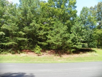 Badin Lake Lot For Sale in New London North Carolina