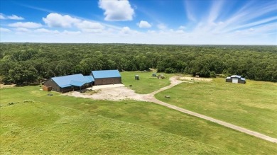 Lake Home For Sale in Mabank, Texas