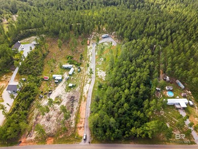 Rare opportunity to own 4 acres of unzoned land in a convenient - photo 3