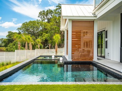Modern coastal luxury awaits at 4017 Kaolin Street, a - photo 33