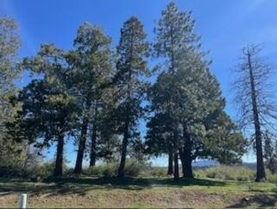 Upper Klamath Lake Lot Sale Pending in Klamath Falls Oregon