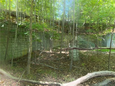 Lake Hartwell Lot For Sale in Westminster South Carolina
