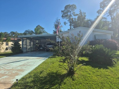 Lake Harris Home For Sale in Tav Florida