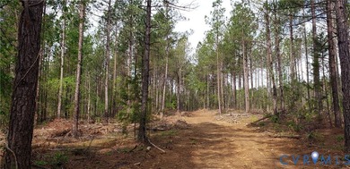 75.496 Acres on Winningham Rd in Rural Nottoway County. Property - photo 11