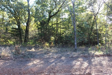 Jack Nicklaus Designed Golf Course community with a lot just shy - photo 11