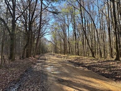 This 86.44 surveyed-acre property offers an excellent blend of - photo 11