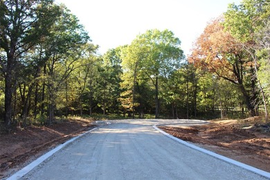 Jack Nicklaus Designed Golf Course community with a lot just shy - photo 12