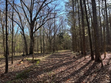 This 86.44 surveyed-acre property offers an excellent blend of - photo 12