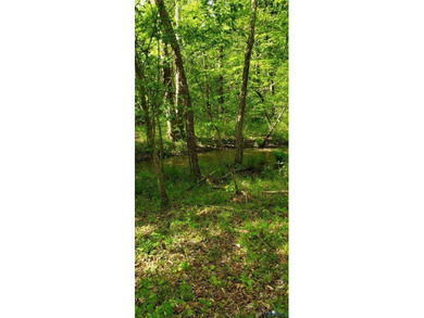 75.496 Acres on Winningham Rd in Rural Nottoway County. Property - photo 13