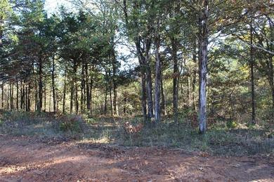 Jack Nicklaus Designed Golf Course community with a lot just shy - photo 13