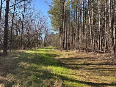 This 86.44 surveyed-acre property offers an excellent blend of - photo 14