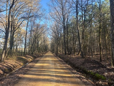 This 86.44 surveyed-acre property offers an excellent blend of - photo 16