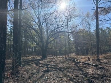 This 86.44 surveyed-acre property offers an excellent blend of - photo 17