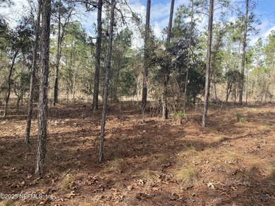 Bonable Lake Lot For Sale in Dunnellon Florida