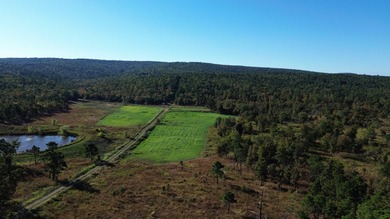 Lake Acreage For Sale in Wilburton, Oklahoma