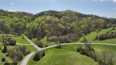 Bring your Lake Life Living dreams to reality! Lot #319 Russell - photo 5