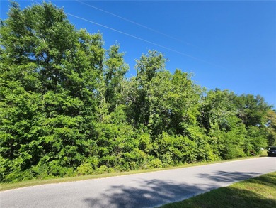 Bonable Lake Lot For Sale in Dunnellon Florida