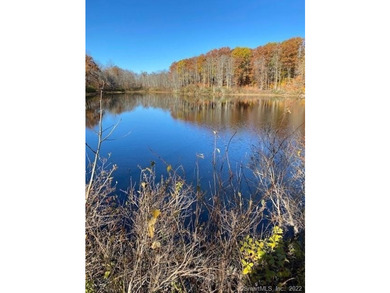 Bucolic LITCHFIELD HILLS 295.1 acres with 10+/- acre reservoir - photo 2