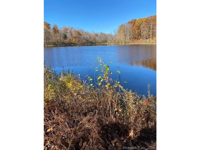 Bucolic LITCHFIELD HILLS 295.1 acres with 10+/- acre reservoir - photo 3