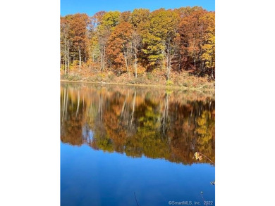 Bucolic LITCHFIELD HILLS 295.1 acres with 10+/- acre reservoir - photo 4