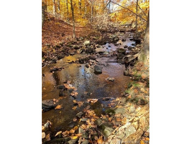 Bucolic LITCHFIELD HILLS 295.1 acres with 10+/- acre reservoir - photo 5