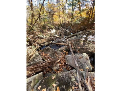Bucolic LITCHFIELD HILLS 295.1 acres with 10+/- acre reservoir - photo 6