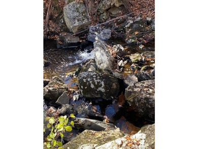 Bucolic LITCHFIELD HILLS 295.1 acres with 10+/- acre reservoir - photo 7