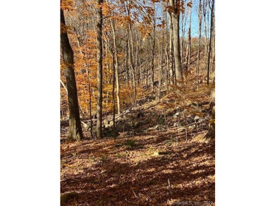 Bucolic LITCHFIELD HILLS 295.1 acres with 10+/- acre reservoir - photo 8