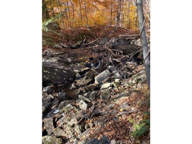 Bucolic LITCHFIELD HILLS 295.1 acres with 10+/- acre reservoir - photo 10