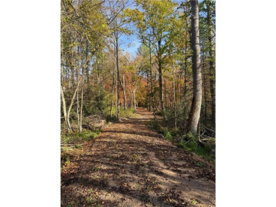 Lake Acreage For Sale in Aitkin, Minnesota
