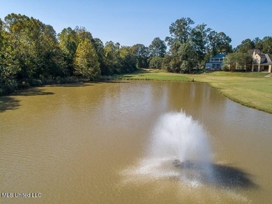 BEAUTIFUL VIEW OVERLOOKING THE GOLF COURSE & A POND. Custom - photo 25