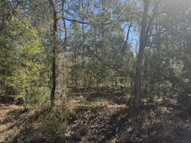 Lake Lot Sale Pending in Dunnellon, Florida