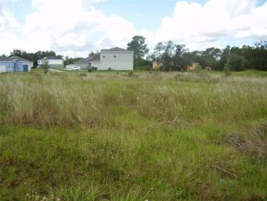 BUY THIS BEAUTIFUL 14,614 SQ. FT. BACK FLAG LOT WITH A GREENWAY - photo 11