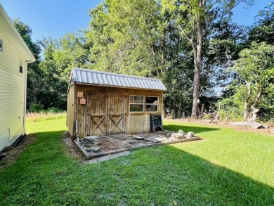 Lake Area 3 Bedroom, 3 Bath House with LARGE Basement Garage - photo 48