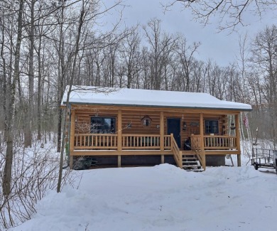 Tippecanoe Lake Home For Sale in Lac Du Flambeau Wisconsin