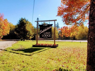 Lake Lot For Sale in Dallas Plt, Maine