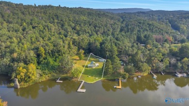 Lake Lot For Sale in Leesburg, Alabama