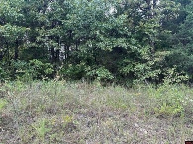 Lake Lot For Sale in Henderson, Arkansas