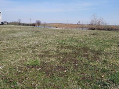 Hayes Branch Lot For Sale in Tuscola Illinois