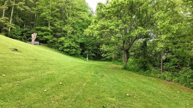 (private lake, pond, creek) Acreage For Sale in Swords Creek Virginia