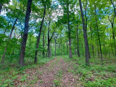 This spectacular lakefront gem near Shell Knob and Emerald Beach - photo 11