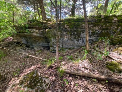 This spectacular lakefront gem near Shell Knob and Emerald Beach - photo 13