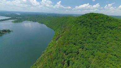 This spectacular lakefront gem near Shell Knob and Emerald Beach - photo 14