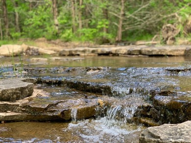 This spectacular lakefront gem near Shell Knob and Emerald Beach - photo 15