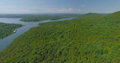 This spectacular lakefront gem near Shell Knob and Emerald Beach - photo 16