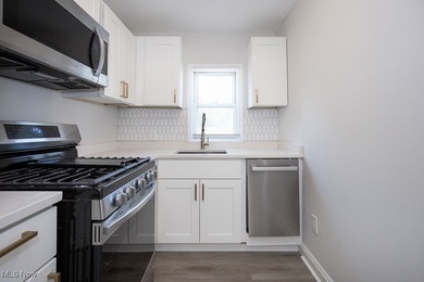 Welcome to 4915 Tillman Ave in Cleveland's Detroit-Shoreway! - photo 18